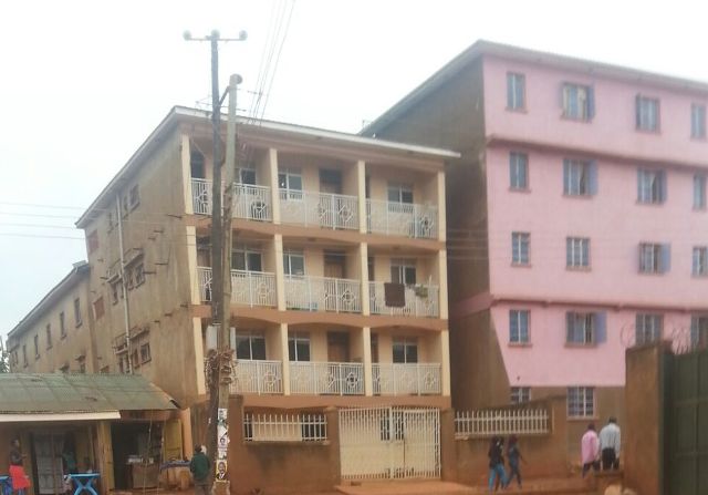 Naivasha Hostel