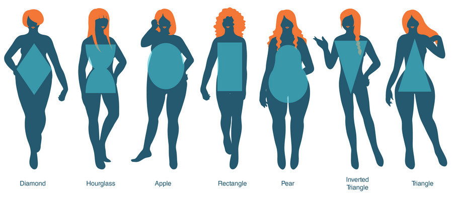 BODY TYPES! The elephant in the room - Campus Bee