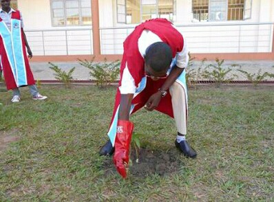 A student weeding around a young tree in th compound.