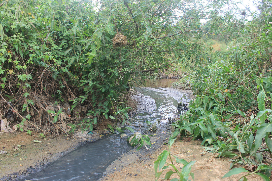 River Rwizi in Mbarara, once powerful and vibrant, is facing extinction.
