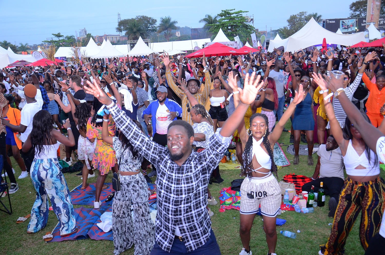Blankets and Wine Celebrates 10th Anniversary Campus Bee